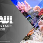 Assistant Instructor