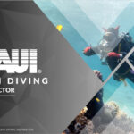 Skin Diving Instructor