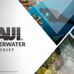 Underwater Ecologist